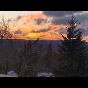 Meet your Posher, Ansley